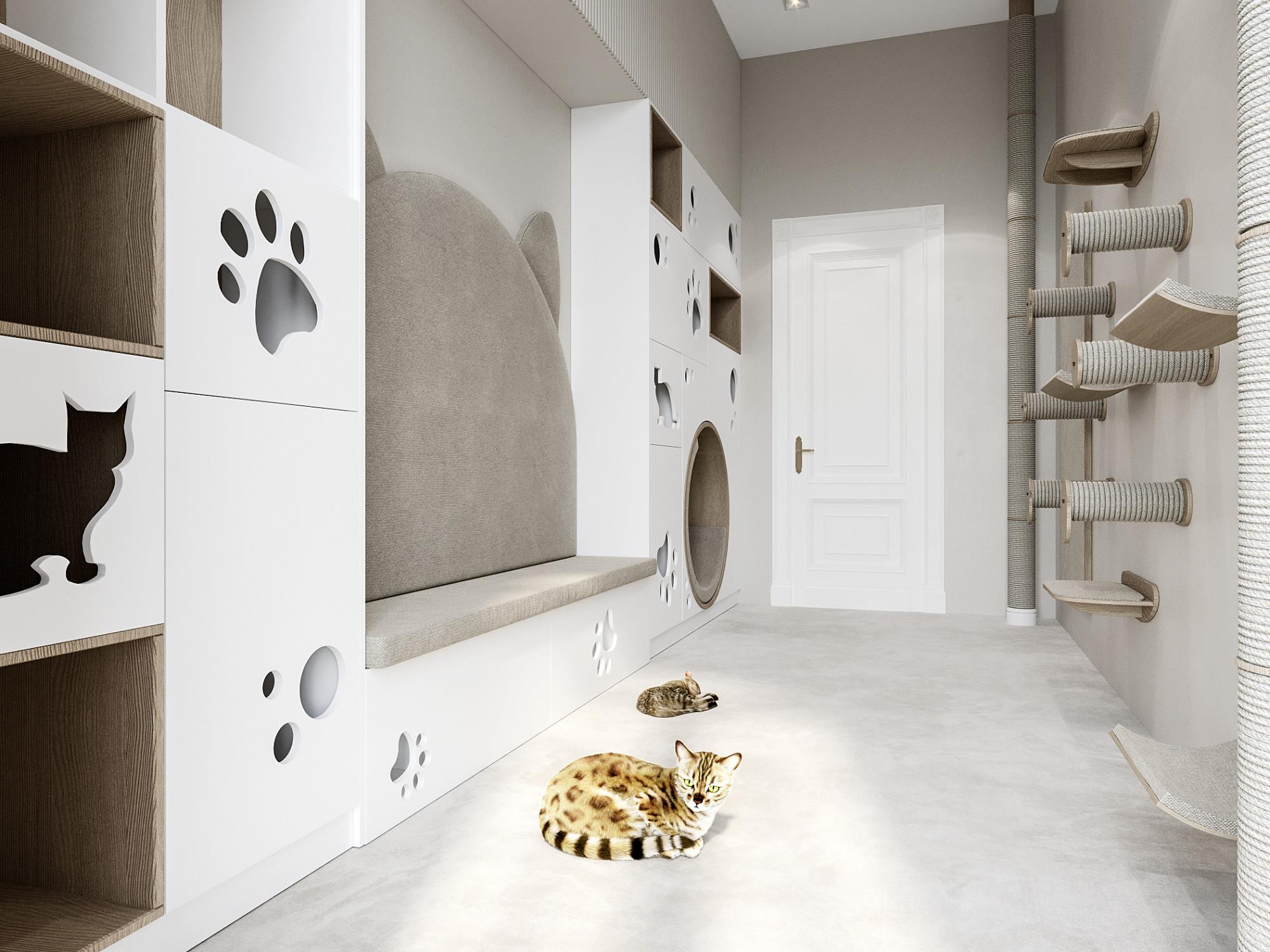 Cat room made in the style of Contemporary