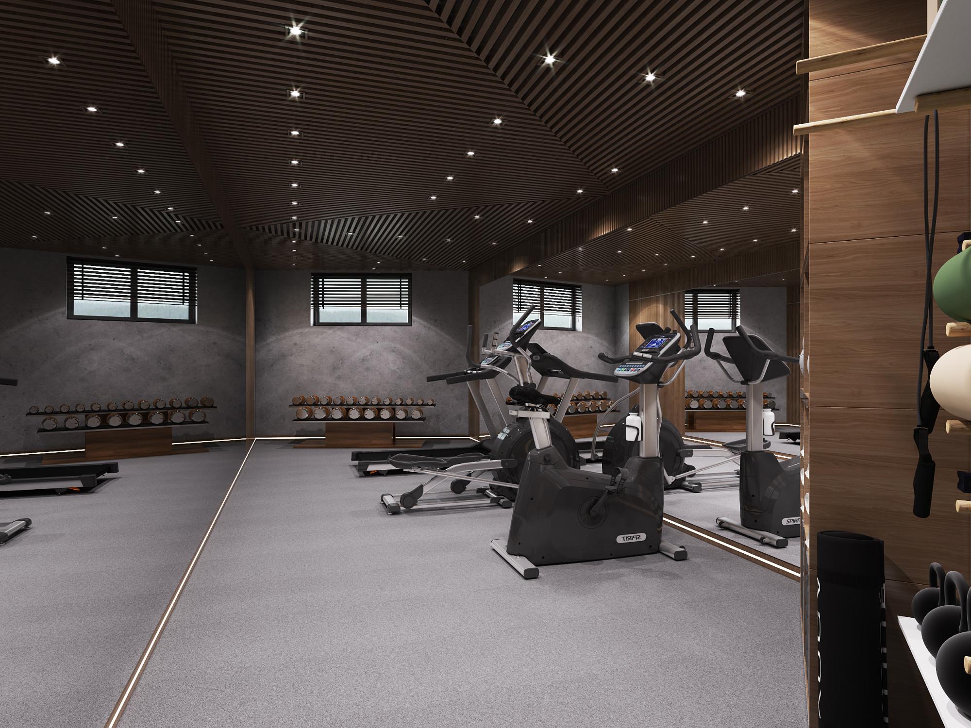 Gym made in the style of Contemporary